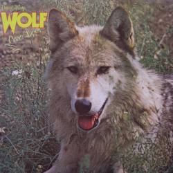 Darryl Way's Wolf : Canis Lupus